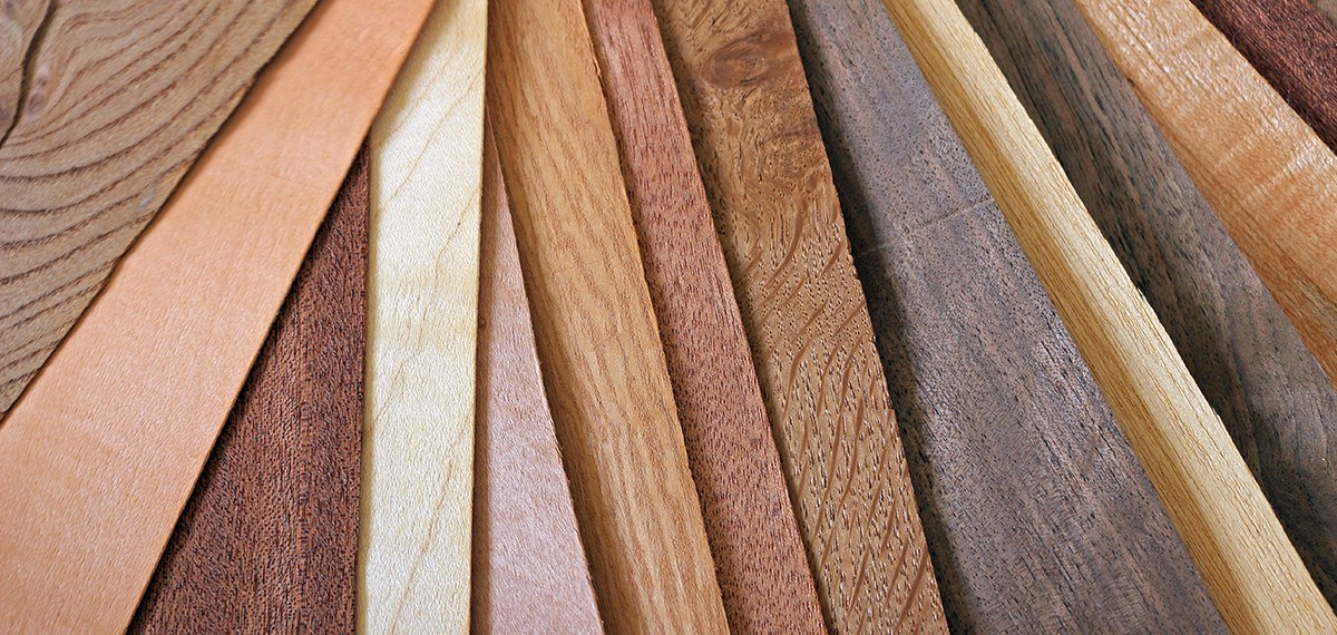 Quy trình kiểm tra chất lượng gỗ veneer