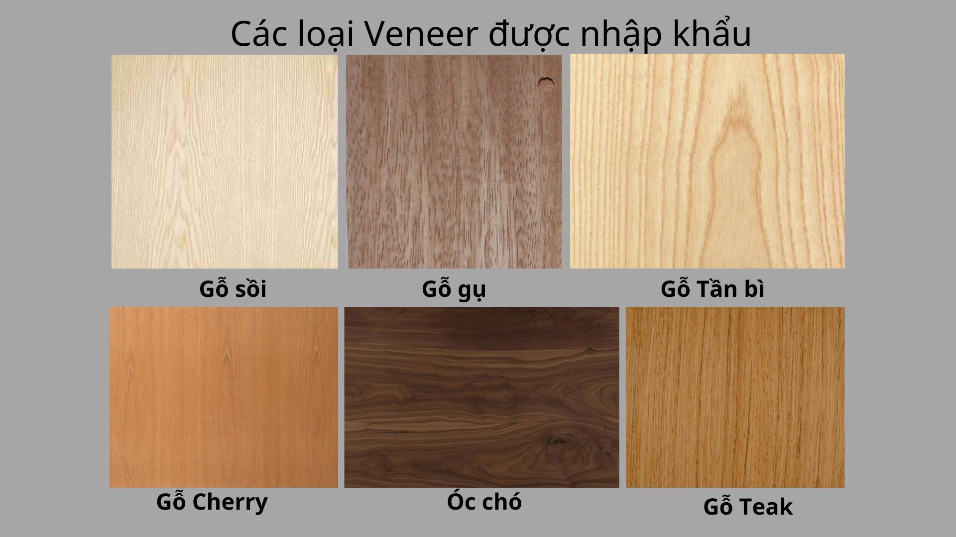 Các loại gỗ Veneer nhập khẩu nổi tiếng