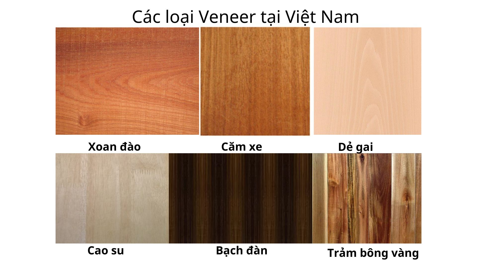 Các loại gỗ Veneer nhập khẩu nổi tiếng