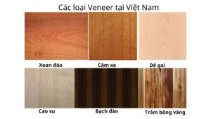 Các loại gỗ Veneer nhập khẩu nổi tiếng