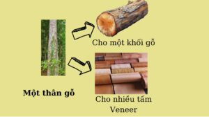 Tương lai của gỗ veneer trong ngành nội thất